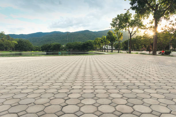 Best Residential Driveway Paver Services  in Newton, AL