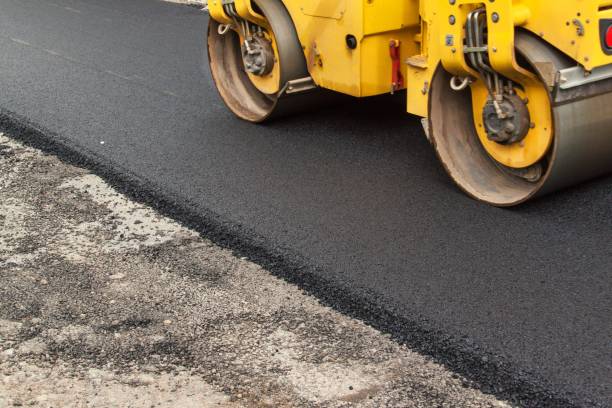 Best Custom Driveway Pavers  in Newton, AL